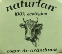 Yogur de arándanos