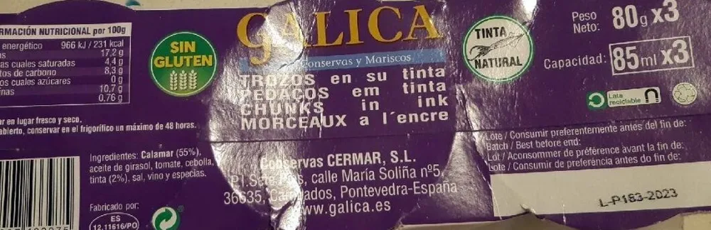 Trozos de calamar en su tinta
