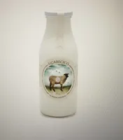 Kéfir Natural de Oveja