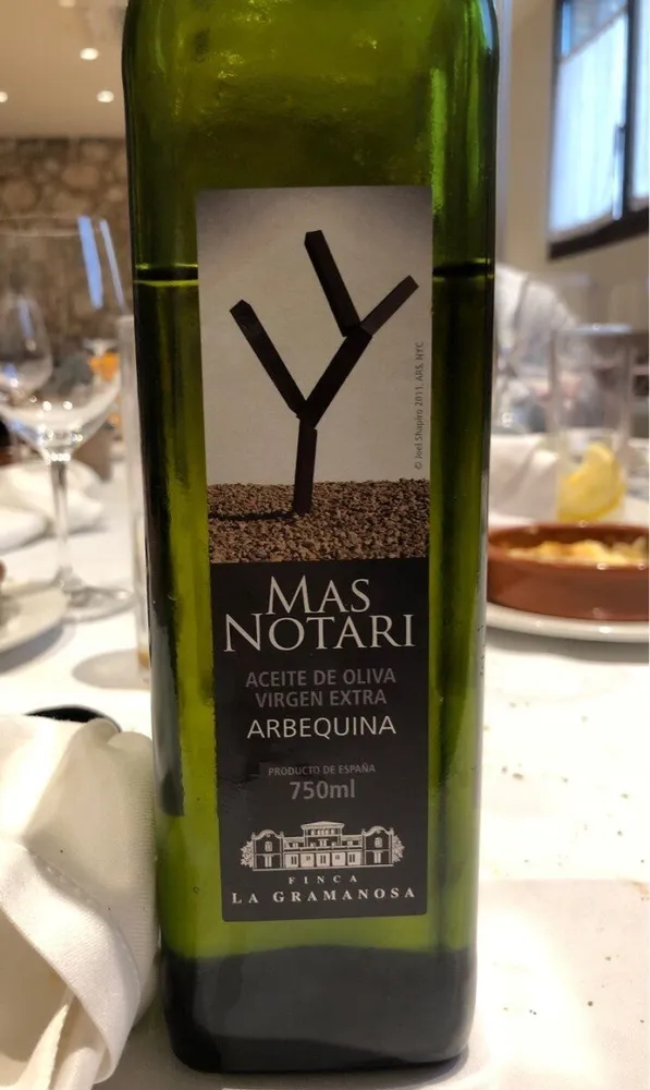 Mas Notari