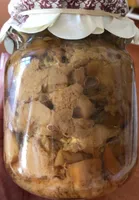 Hongos boletus edulis