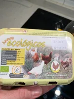 Huevos ecológicos