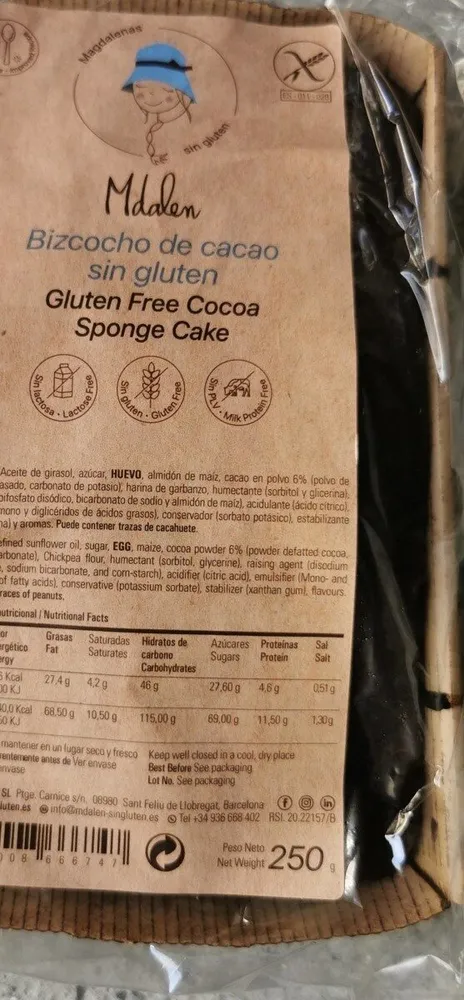 Bizcocho de cacao sin gluten