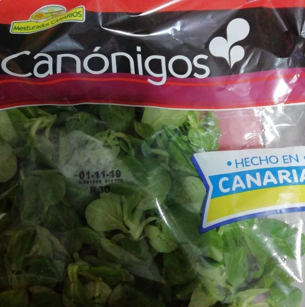 Canónigos