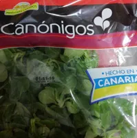 Canónigos