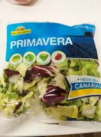 Lechuga primavera