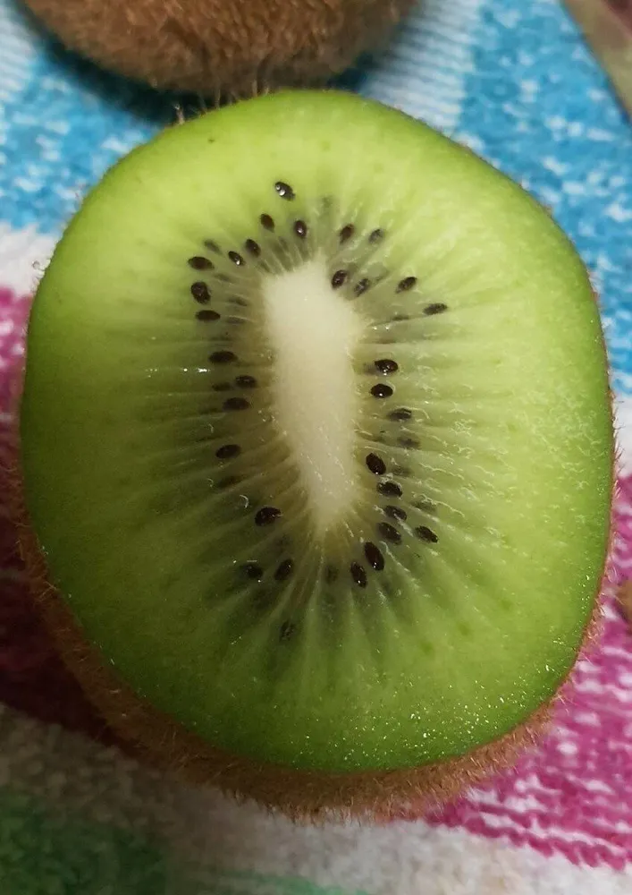 Kiwi