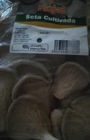 Setas cultivadas. pleurotus ostreatus