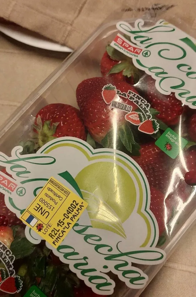 Fresas