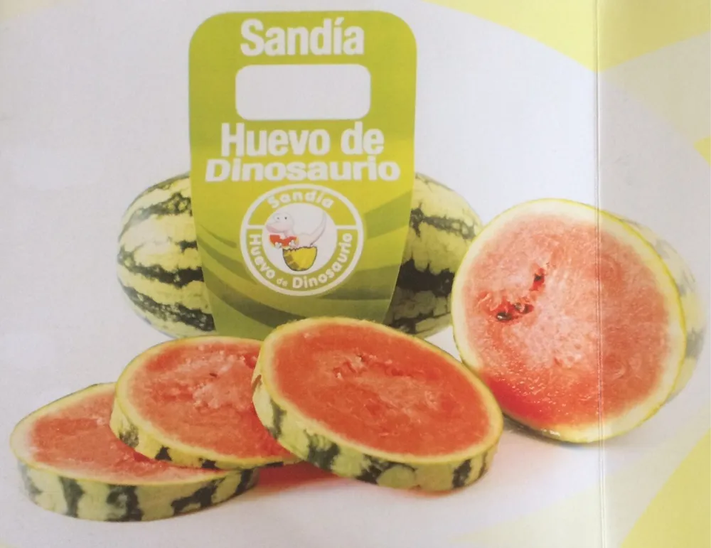 Sandía