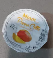 Panna cotta amb mango