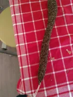 Saucisson poivre