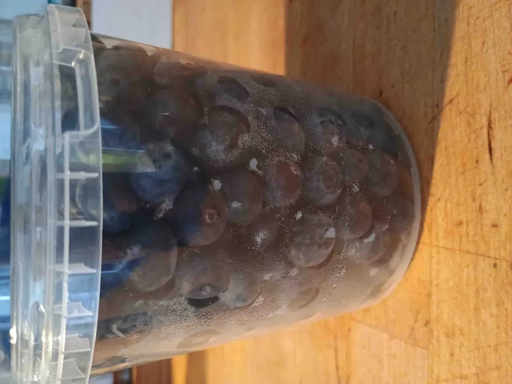 Blueberries