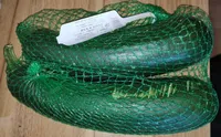 Zucchini