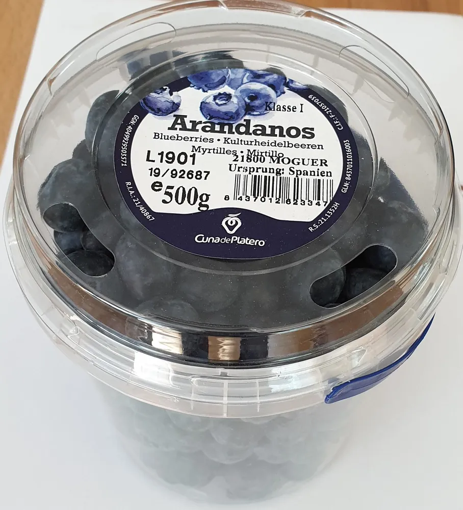 Kulturheidelbeeren