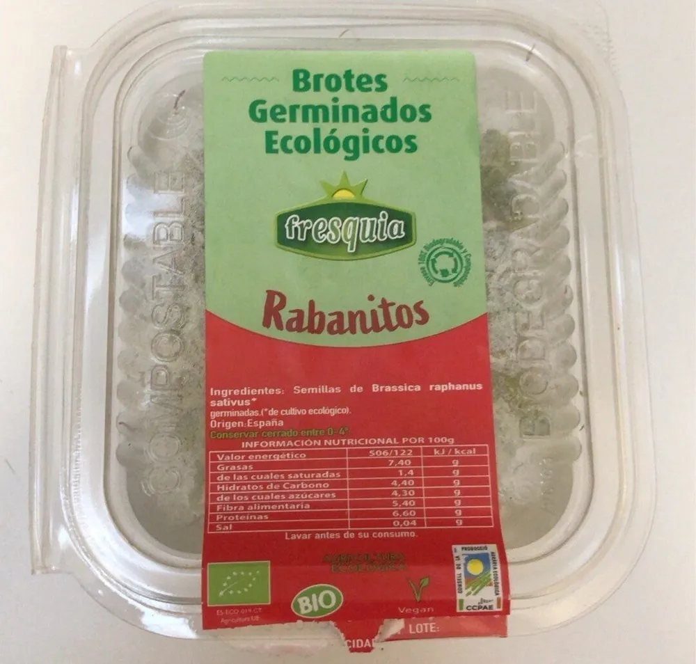 Rabanitos