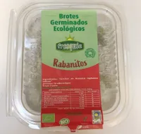 Rabanitos