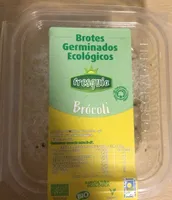 Brotes germinados de brocoli ecologicos