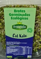 BROTES GERMINADOS COL KALE