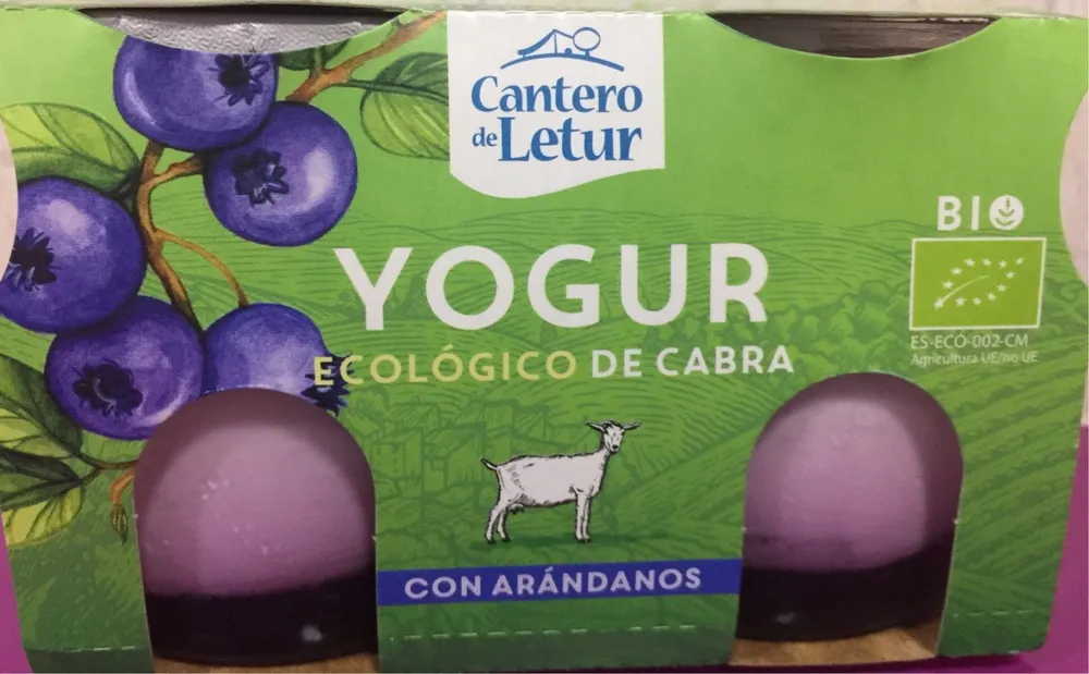 Yogur ecologico de cabra con arandanos