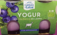 Yogur ecologico de cabra con arandanos
