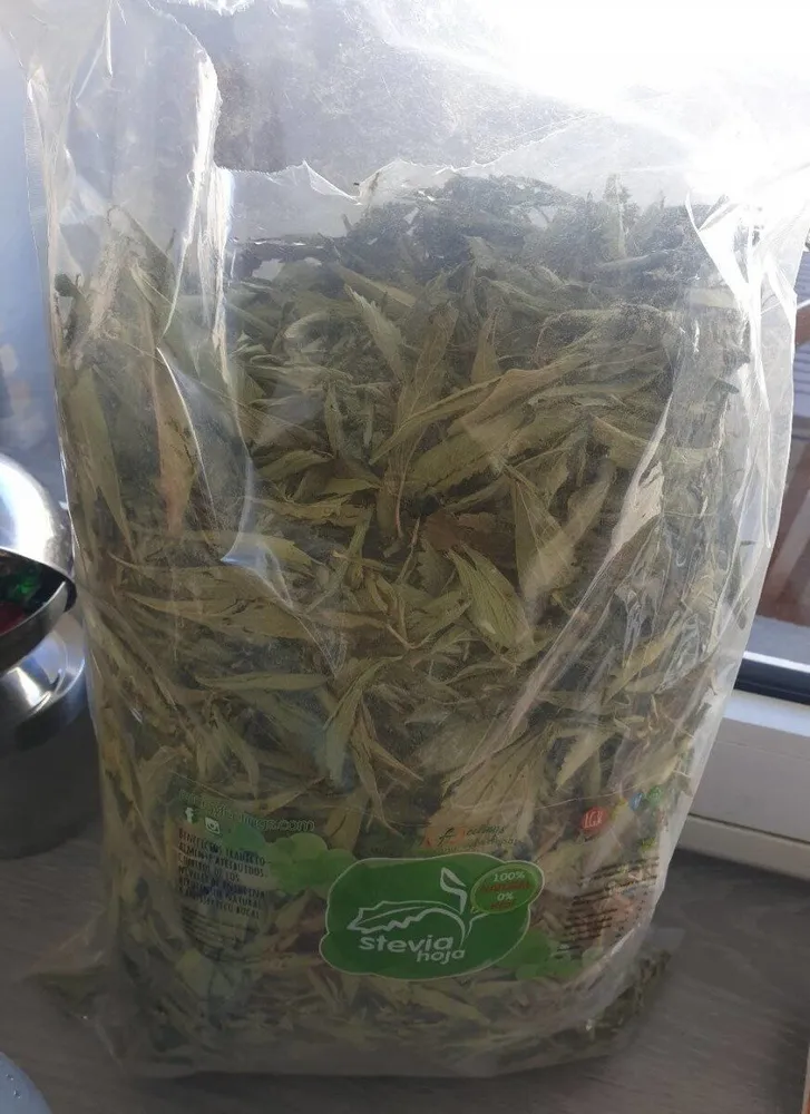 Stevia hoja
