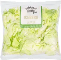 Lechuga Iceberg