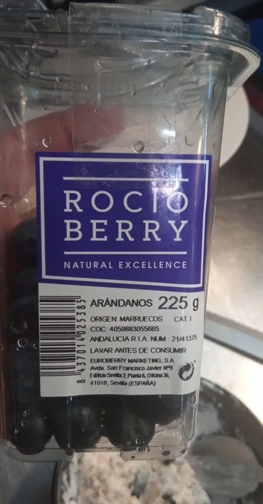 Arandanos rocio berry