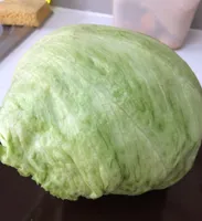 Laitue Iceberg