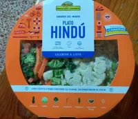 Plato hindu