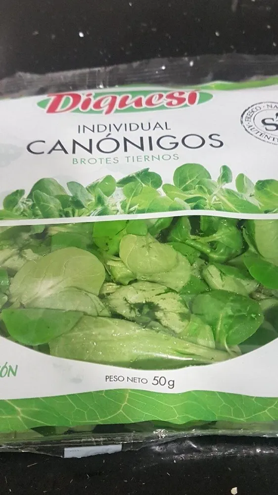 Canónigos