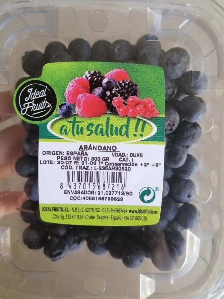 Arándanos