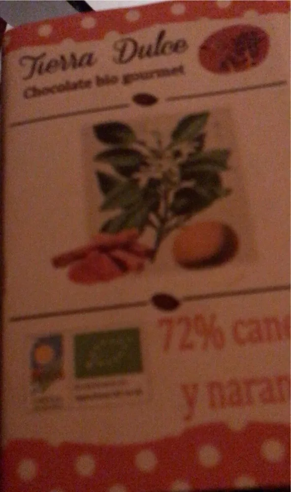 Terra dulce chocolatete bio