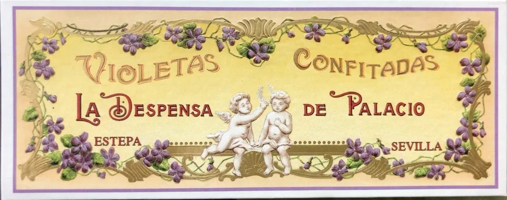 Violetas confiadas