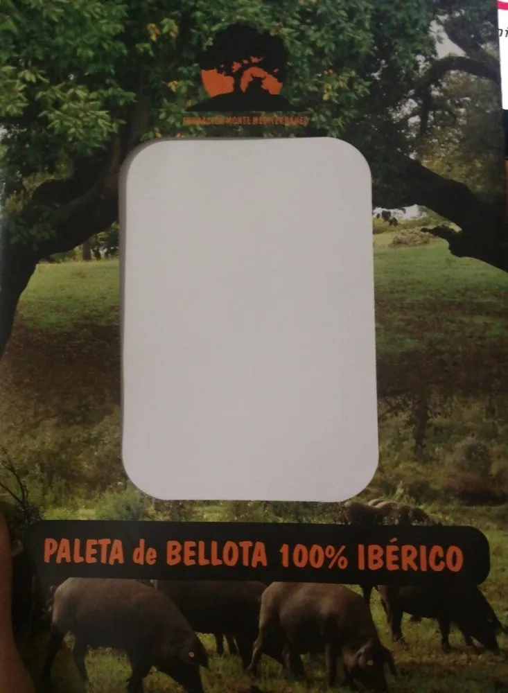 Paleta ibérica de bellota
