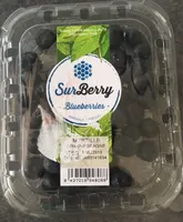 Blueberries/Myrtilles