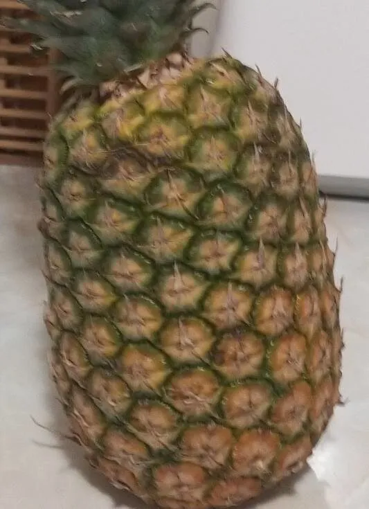 Piña tropical