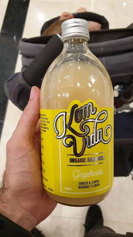 Organic kombucha gingervida bebida de jengibre y limón