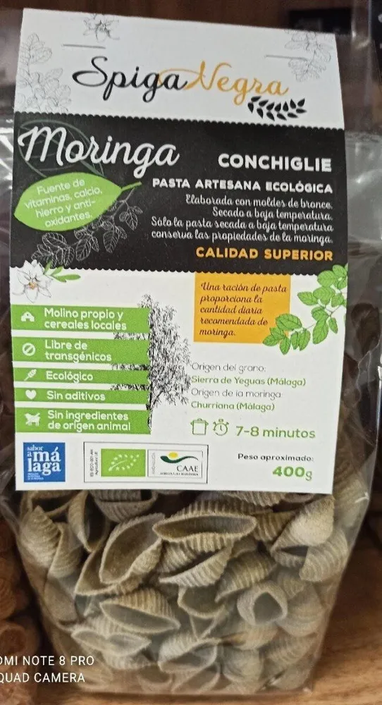 Conchiglie moringa