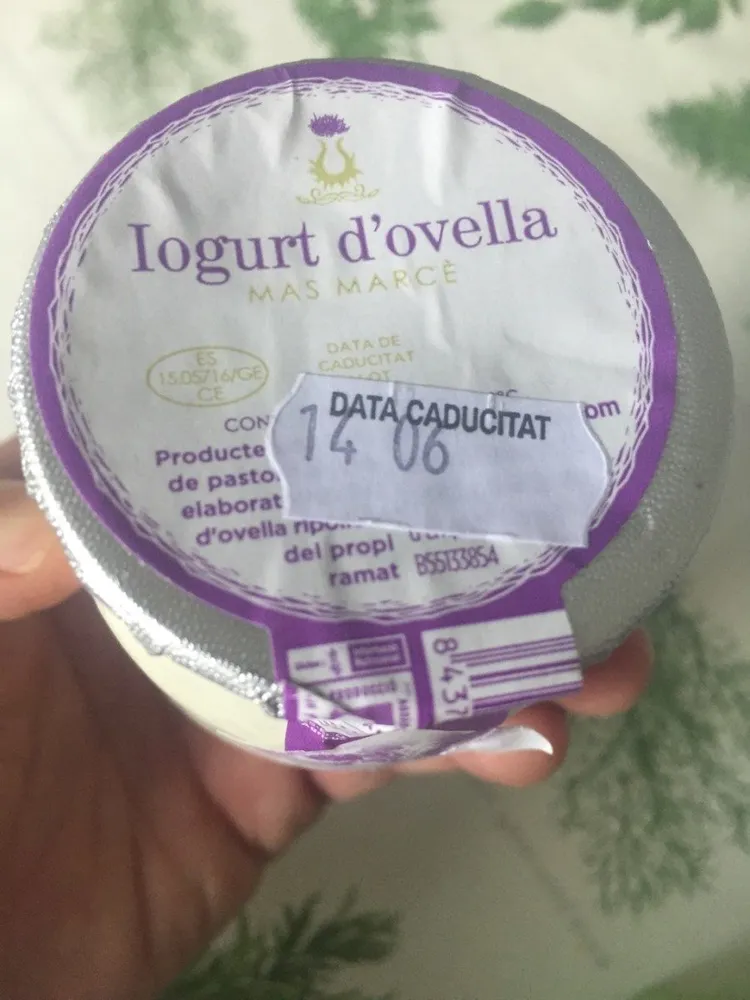 iogurt d'ovella
