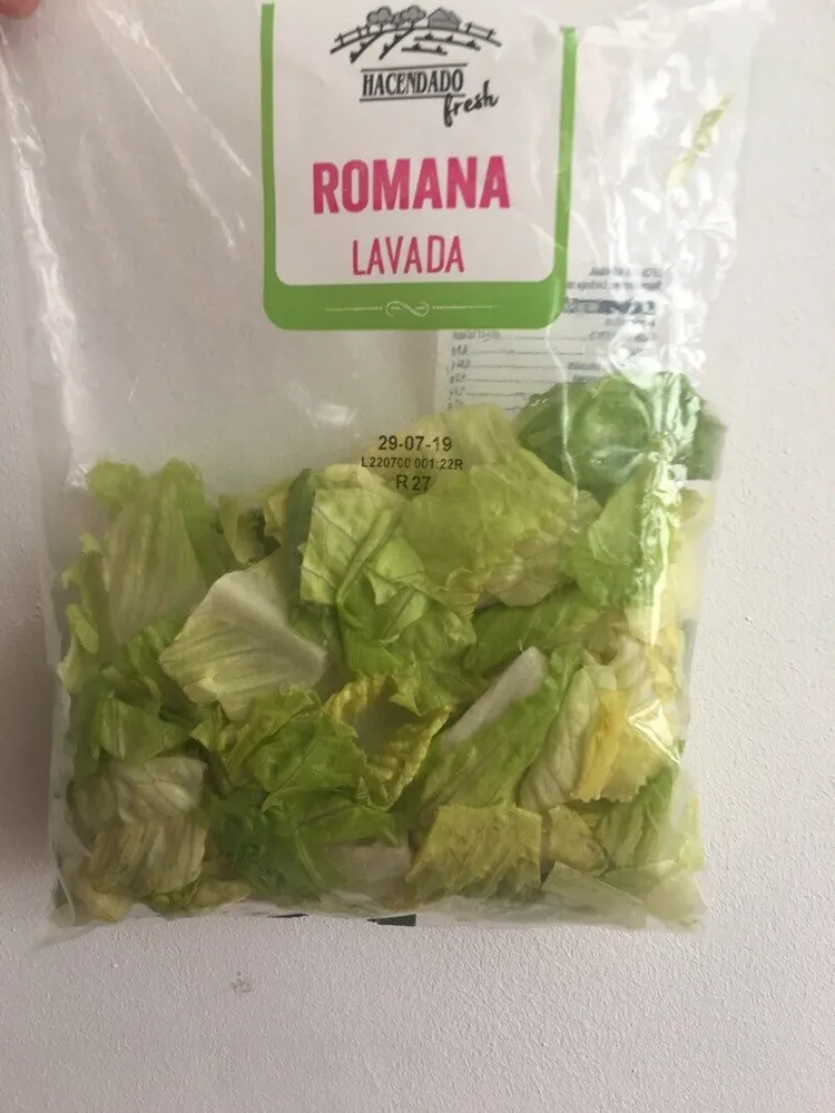 Lechuga romana