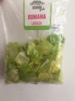 Lechuga romana