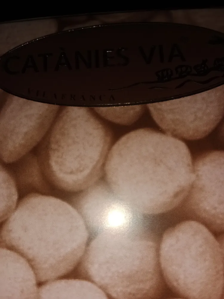Catanies