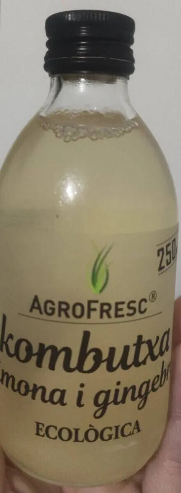 Kombutxa limón y jengibre