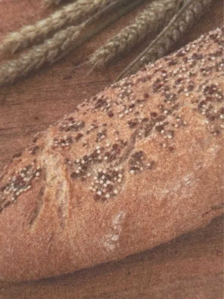 Barra espelta chia
