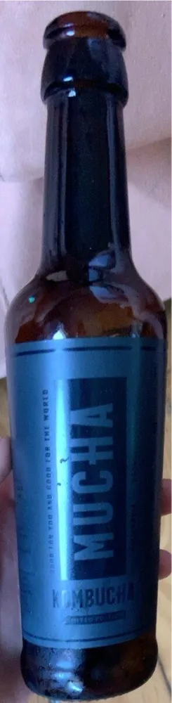 Kombucha-Mango piña