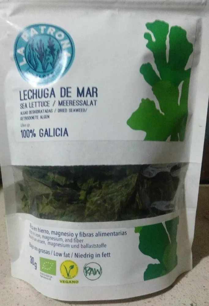 Lechuga de mar