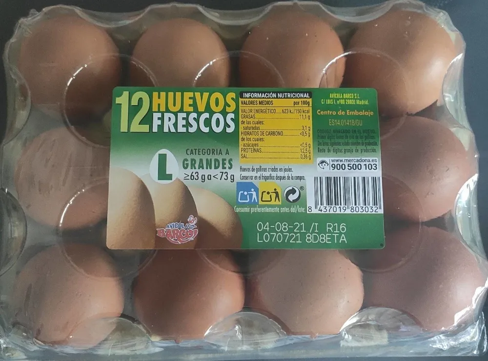 12 Huevos frescos