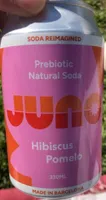 Prebiotic Natural Soda