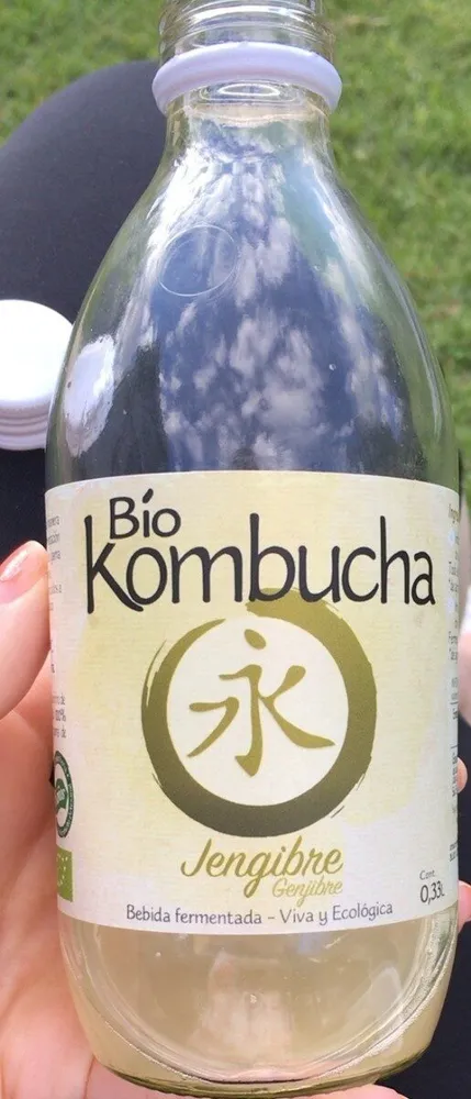 Bio Kombucha jengibre